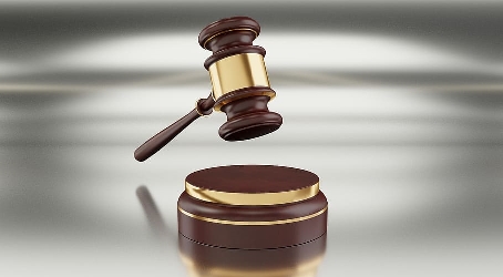 صيغة دعوى إشهار إفلاس تاجر توفي